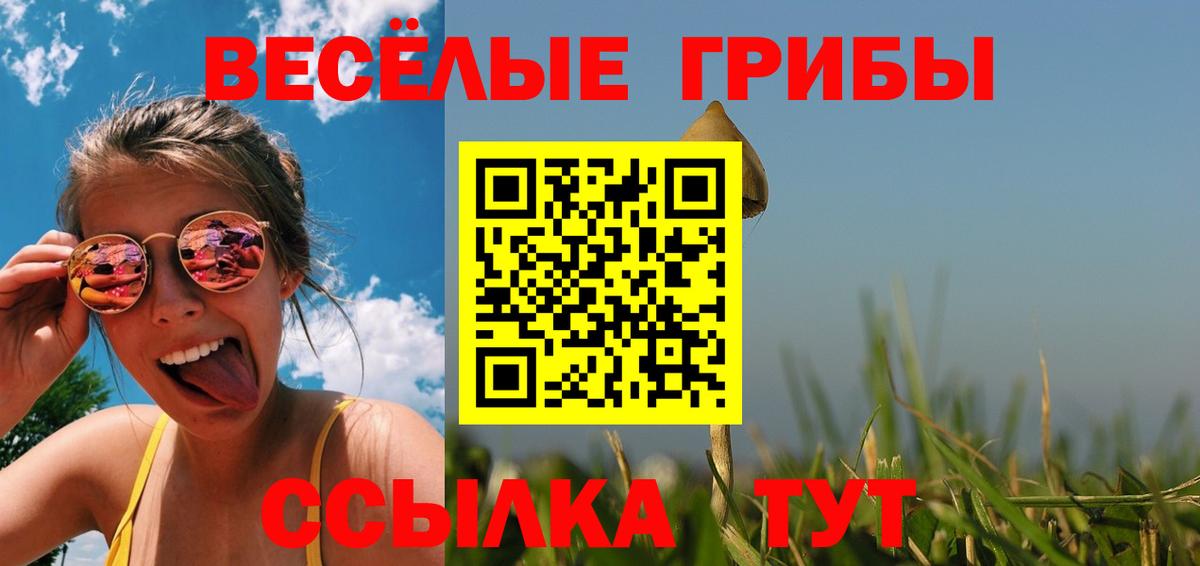 Галлюциногенные грибы Cubensis Калач-на-Дону